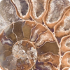   Serapool  Fossil Mix F07 3333 