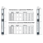     Pedrollo 6SR 27 10-P