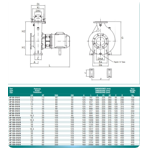     Bombas PSH Aquatic Park AP 150-315/B, 37kW, 380V