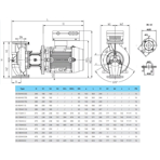    IMP ECL 65-50/4/0.55K/L/D/2TT