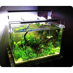   Dennerle Nano Scaper's Tank, 55 