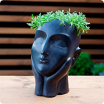   () Idealist Face Planter  (WFP-BLK-27)