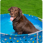     Bestway  Fetchin' Fun Pet Play Pool 561KM,  122x30,5 