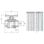      Coraplax TYPE PE .125 (DN100)